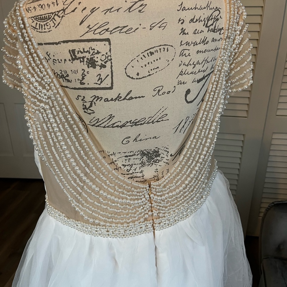 Gorgeous NIP Beaded Wedding Dress with Tulle Overlay skirt, Size 20W - Picture 4 of 7